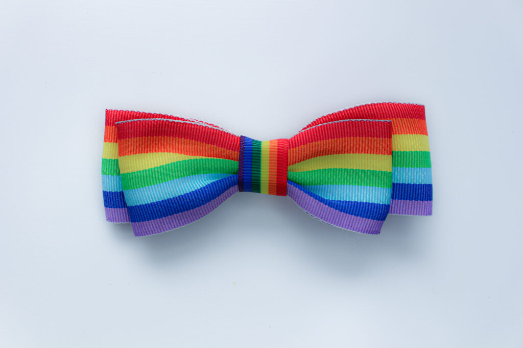 Pride rainbow bow tie hair bow lgbtq queer